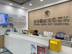 -瑞派雷欧宠物医院·24h夜诊·心脏骨科牙科·全科重症转诊中心(无影山店)