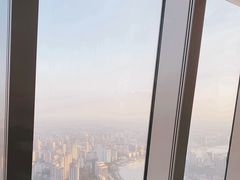 -上海柏悦酒店