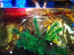 -V-ONE西雅图海鲜自助餐厅(仓山万达广场店)