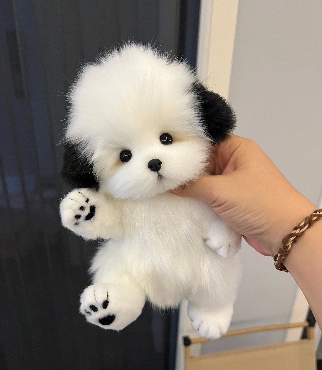 可爱到犯规!毛茸茸狗狗的萌力全开瞬间