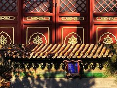 -故宫博物院(故宫)