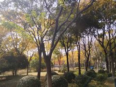 -尚贤河湿地