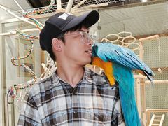 -吉丁鸟咖·异宠·寄养