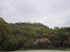-南京市江宁方山