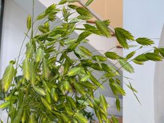 -森野花艺培训·企业团建活动沙龙