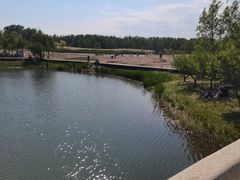 -东郊湿地公园