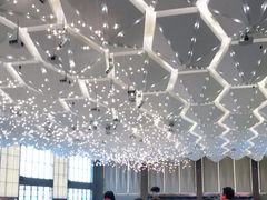 大堂-寻味顺德·珍之宝酒楼(银钻店)