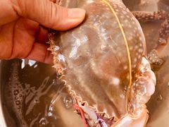 -东戴河风景区-止锚湾