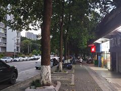 -重庆彩云湖湿地公园