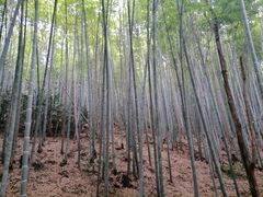 -敬亭山风景名胜区