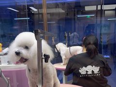 -FAELING PETS美天灵宠物(富力广场店)