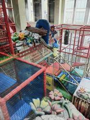 -玩元素·家庭游乐成长中心(香格里拉店)