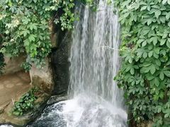 -南山植物园