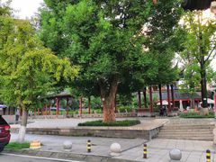 -龙潭水乡