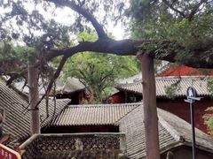 -七曲山风景区