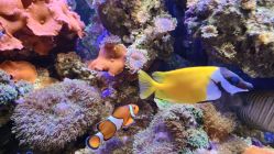 -Zoolung Zoolung动物主题公园(海信广场店)