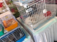 -新奥购物中心