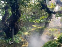 -Chom Cafe and Restaurant