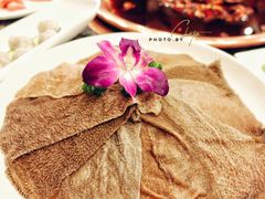 码头鲜毛肚-老码头火锅(玉林店)