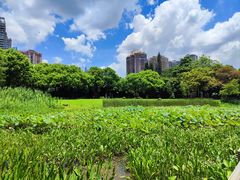 -东山湖公园