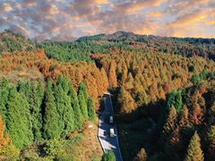 -山王坪喀斯特国家生态公园