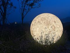 -金海湾滨江公园