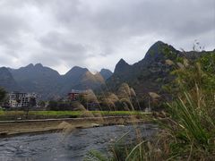 -长寿村