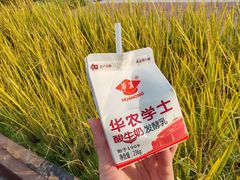 -华农酸奶文化馆