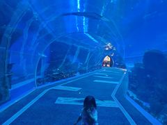 -成都浩海立方海洋公园