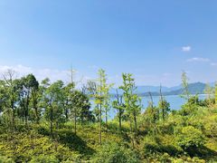 -千岛湖忆湖度假酒店(中心湖景区店)