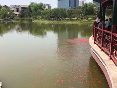 -西海子公园