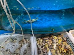 -深海800米海鲜自助(万达广场店)