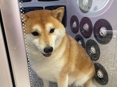 -FAELING PETS美天灵宠物(富力广场店)