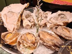 -牛New寿喜烧(金鹰世界店)