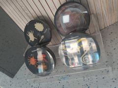 -半岛宠物医院24小时(白果林店)