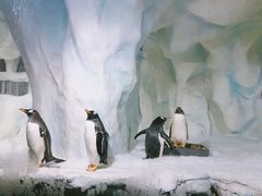 -南昌海洋公园