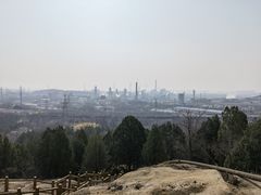 -白水寺森林公园
