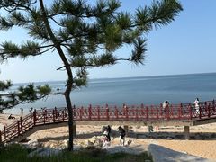 -养马岛旅游度假区