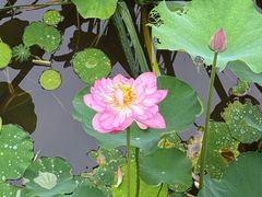 -沐仙湖湿地公园