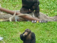 -西安秦岭野生动物园