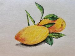 -鼎画艺术机构(贵都店)