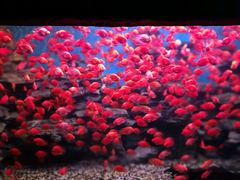 -多彩贵州城极地海洋世界