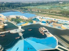 -秦皇岛乐岛海洋王国