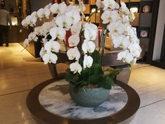 -王德传茶庄(上海新天地店)