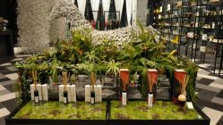 -THANN EXPRESS SPA