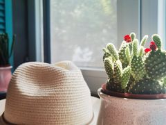 -19号私房菜(云南路店)