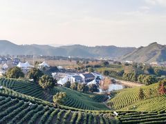 -帐篷客·溪龙茶谷度假酒店