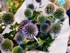 -三圣花乡旅游区