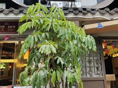 -老房老舍重庆火锅(假日城市店)