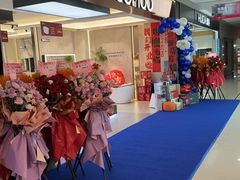 -红星美凯龙(上海沪南店)